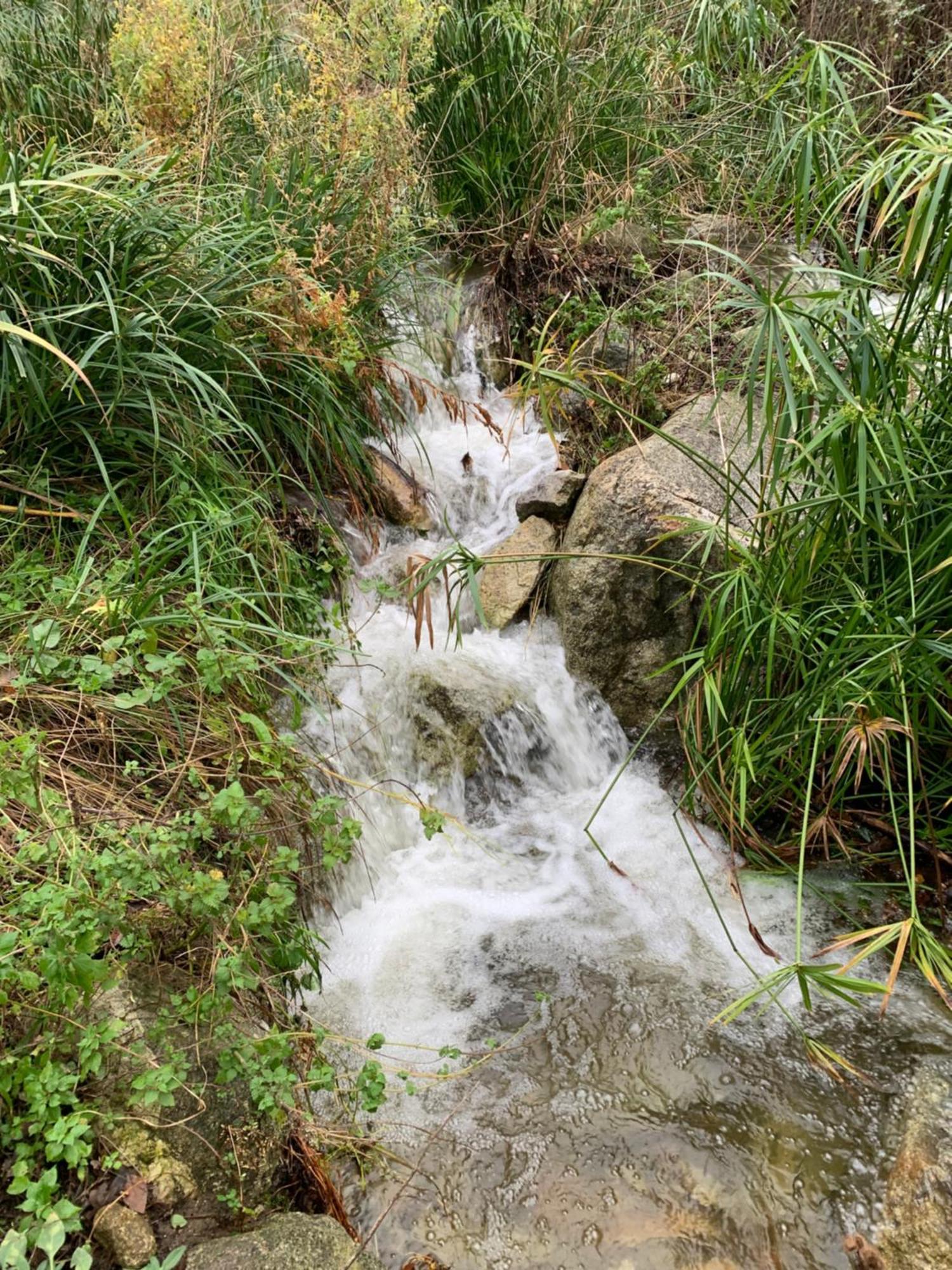 Caselena , Un Havre De Paix En Balagne Ville-di-Paraso Esterno foto