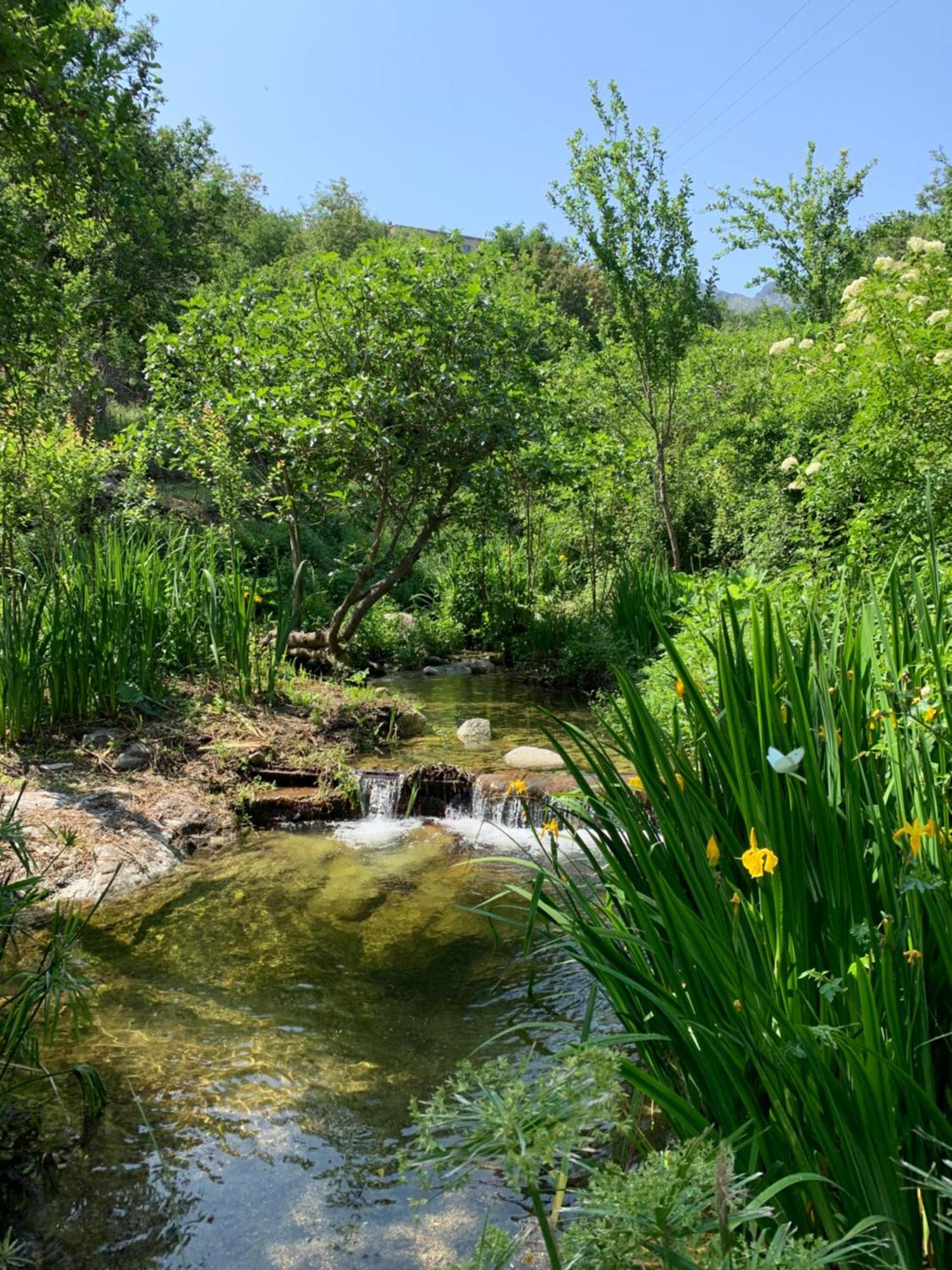 Caselena , Un Havre De Paix En Balagne Ville-di-Paraso Esterno foto
